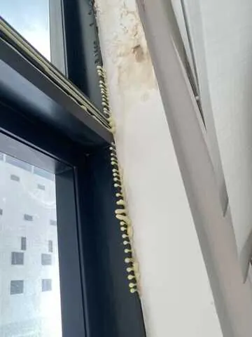 P.U. Injection - JS STAR waterproofing service